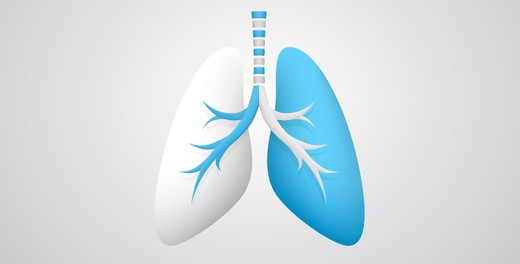 pulmoner fibrozis